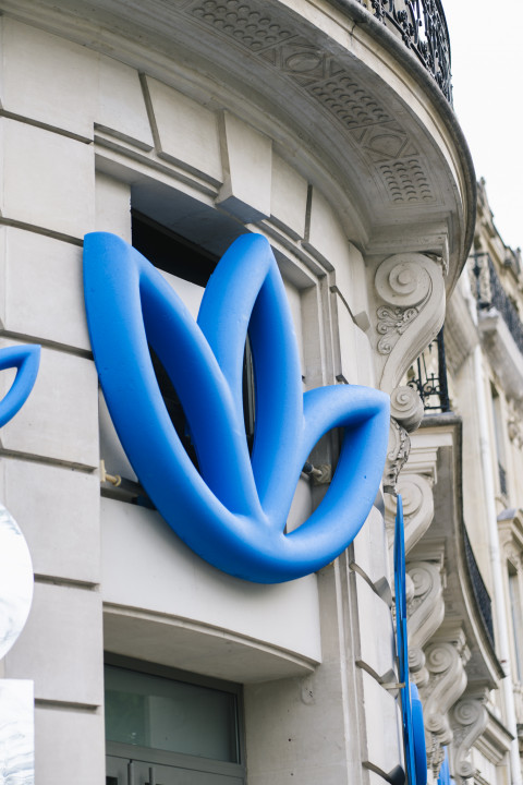 Club Originals Adidas Paris