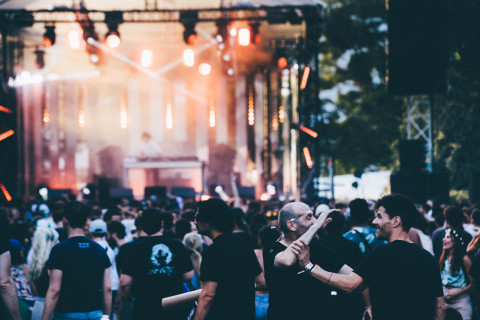 Mirror Peacock Festival