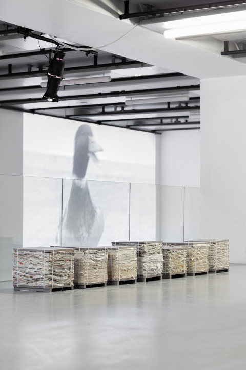 Anticipation Festival