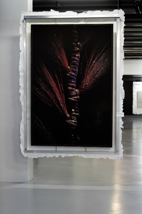 Anticipation Festival