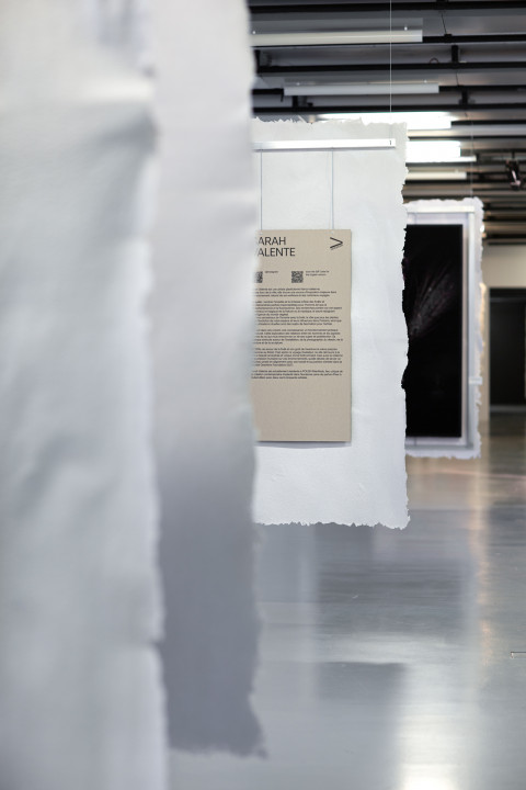 Anticipation Festival