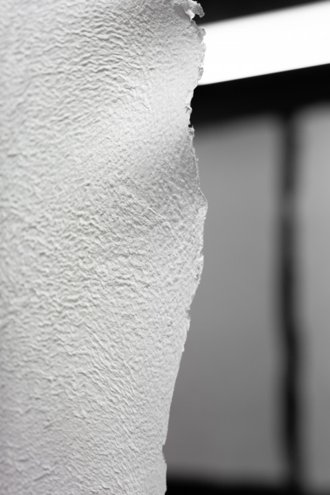 Anticipation Festival