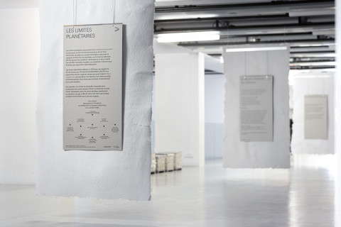 Anticipation Festival