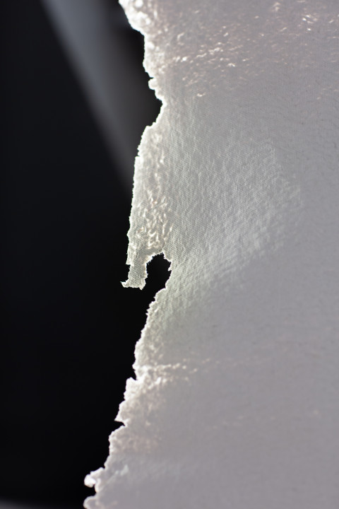 Anticipation Festival