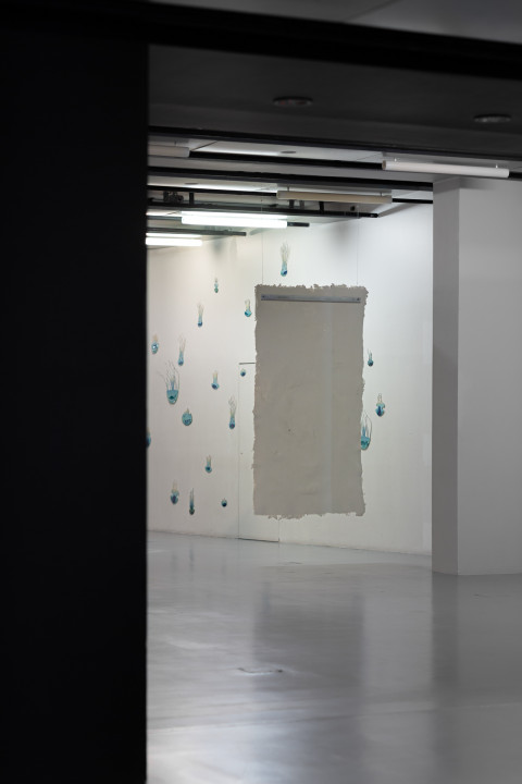 Anticipation Festival