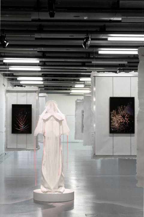 Anticipation Festival