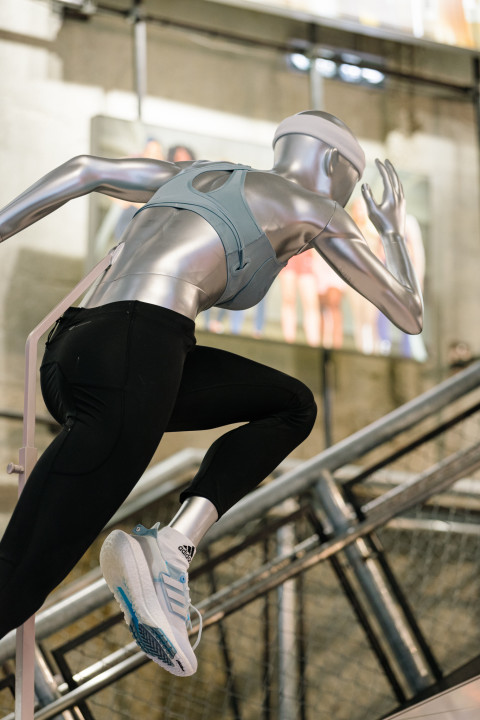 Sport Credibility 2022