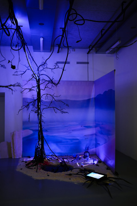 Anticipation Festival 2e édition