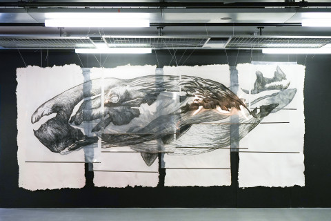 Anticipation Festival 2e édition