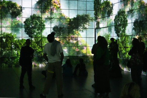 Anticipation Festival 2e édition