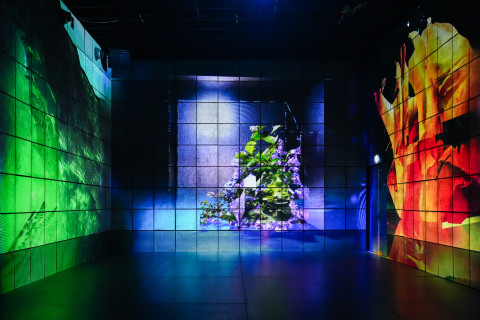 Anticipation Festival 2e édition