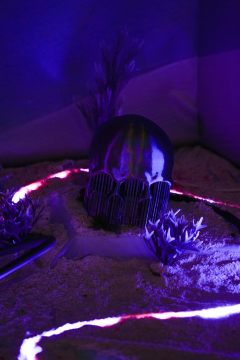 Anticipation Festival 2e édition