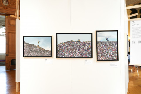 Anticipation Festival