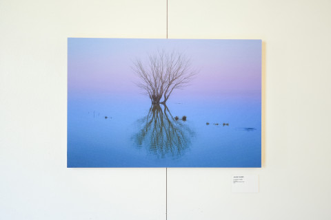 Anticipation Festival