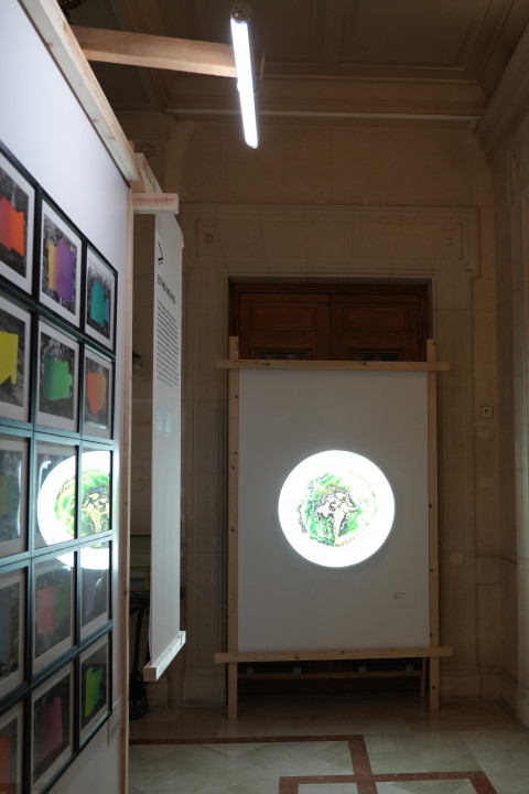 Anticipation Festival