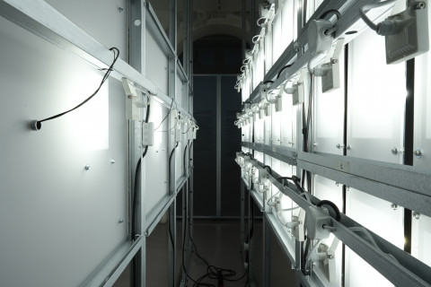 Primary Matter x Atelier Craft