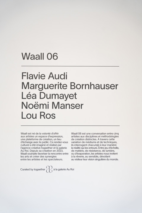 Waall 2024